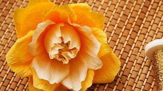 Английская роза из конфет