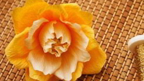 английская роза из конфет