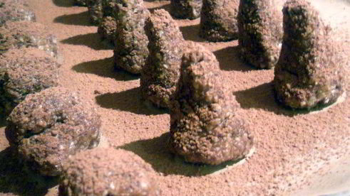 конфеты пизанская башня