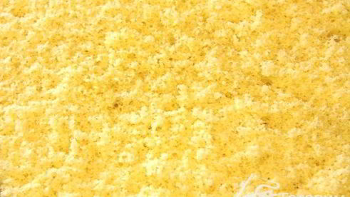 бисквит на желтках и заварной сметанный крем