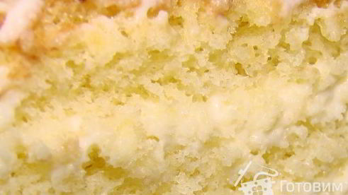 бисквит на желтках и заварной сметанный крем