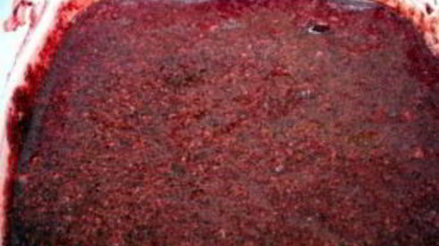 мороженое для диабетиков