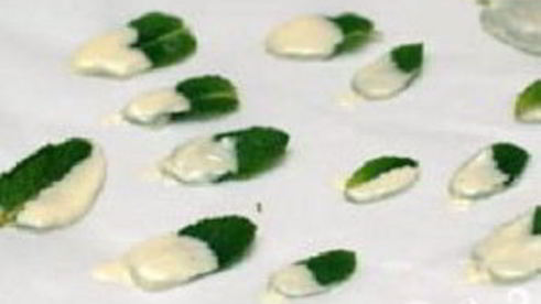 мятно-шоколадный мусс