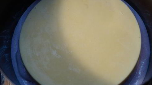 торт-мусс с клюквой и пралине