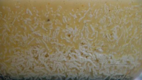 цитрусовая пасха