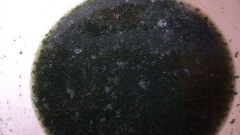 сливочно-ягодно суфле