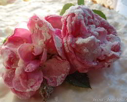 Торт-суфле Цветочное облако