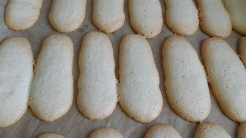 десерт с творогом — тирамису