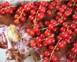 Тирамису с лесными ягодами