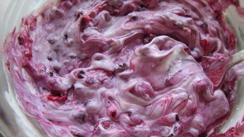 тирамису с лесными ягодами