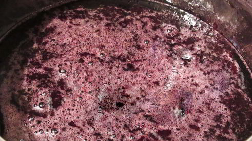 желе из черной смородины