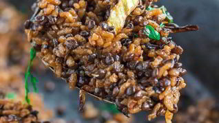 Чечевица черная на сковороде