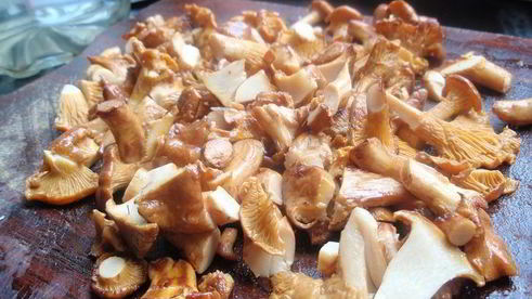 чечевица с лисичками