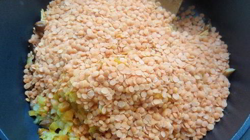 чечевица с лисичками