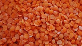 Чечевица с овощами для детей