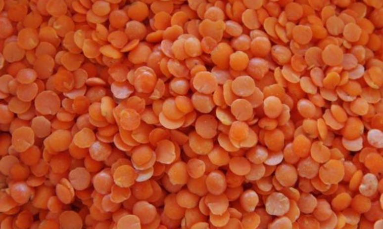 Рецепт чечевицы с овощами для детей