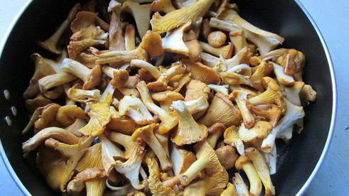 молодой картофель с лисичками