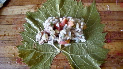 долма с курицей и кедровыми орешками