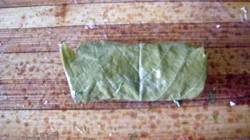 долма с курицей и кедровыми орешками