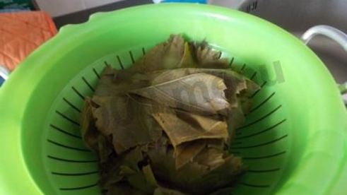 долма с мятой и круглым рисом