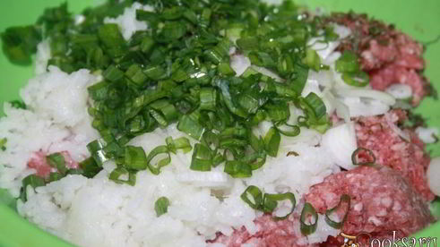 голубцы из шпиц-капусты