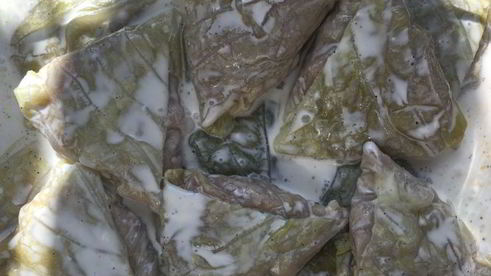 голубцы в сметанном соусе