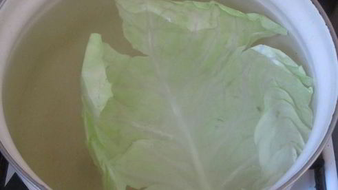 мини-голубцы на шпажках