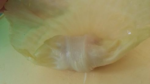 обычные голубцы