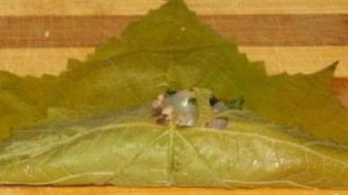 постная долма