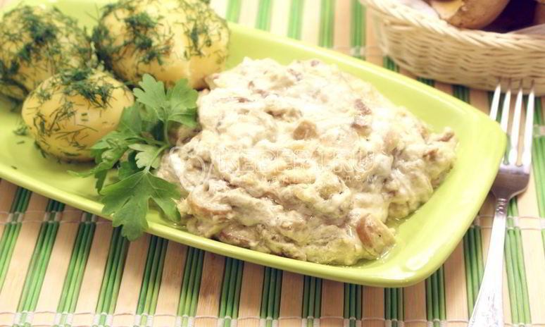 Рецепт белых грибов в сметанном соусе