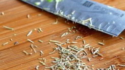 фаршированный портобелло