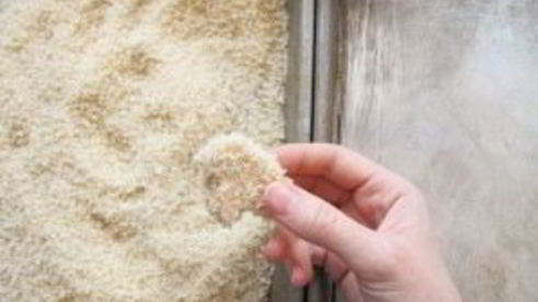 грибы в панировке