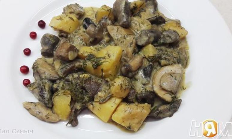 Рецепт грибов в сметане с картофелем