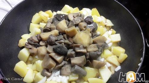 грибы в сметане с картофелем
