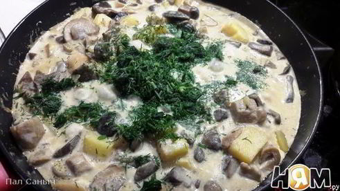 грибы в сметане с картофелем