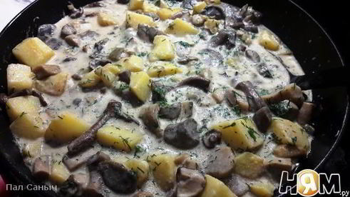 грибы в сметане с картофелем