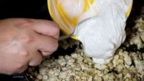 шампиньоны с курицей и сыром