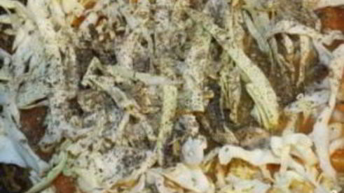 шампиньоны тушеные с овощами