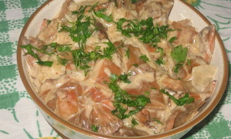 Рецепт тушеных рыжиков