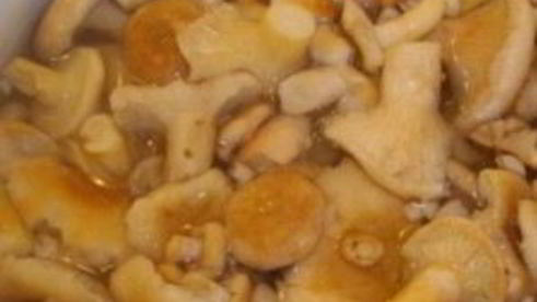 тушеные волнушки