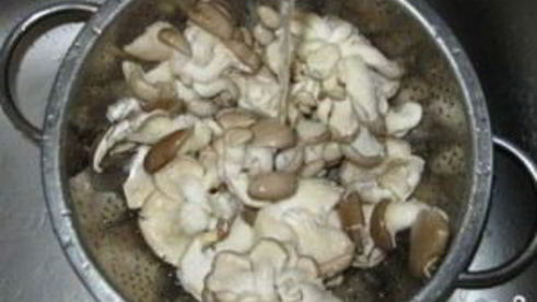 вешенки жареные