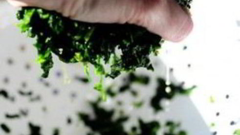 запеченные грибы, фаршированные сыром и шпинатом