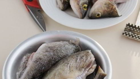 котлеты из речного окуня