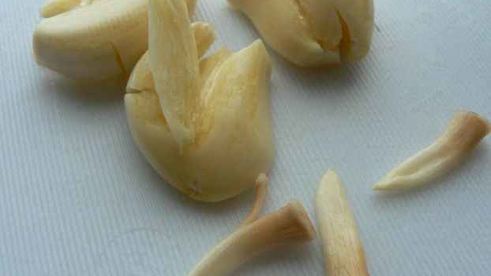 макароны с шампиньонами под сливочным соусом