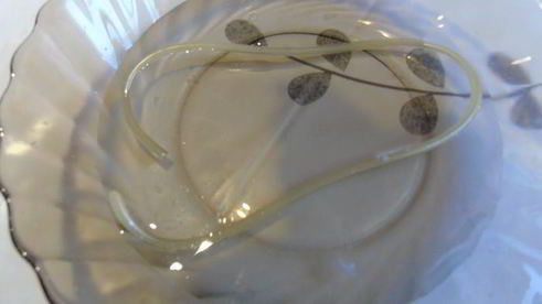 молекулярные спагетти с шариками из водки