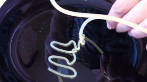 молекулярные спагетти с шариками из водки