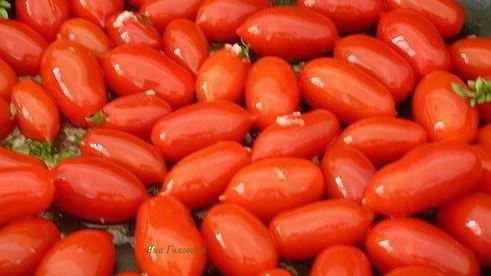 паста с жареными помидорами