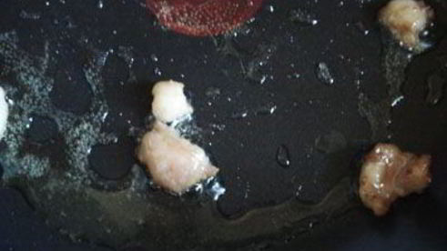 курица с черносливом и изюмом