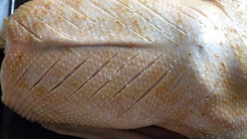 запеченный гусь с яблоками и алычой в духовке