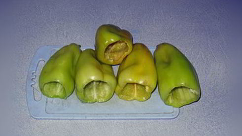 фаршированные перцы советские
